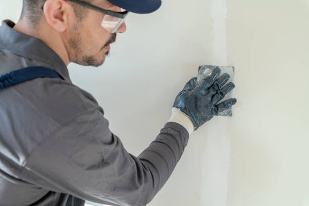 Best Trim and Molding Painting  in Mount Jackson, VA